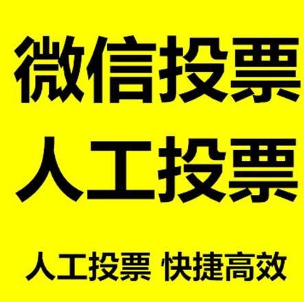 金普新区微信刷票怎么投票