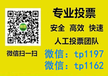 金普新区微信手动投票费多少钱让我告诉你微信投了多少